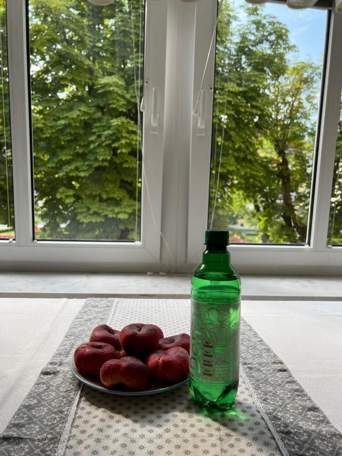 Apartment Juliana Rogaška Slatina Buitenkant foto